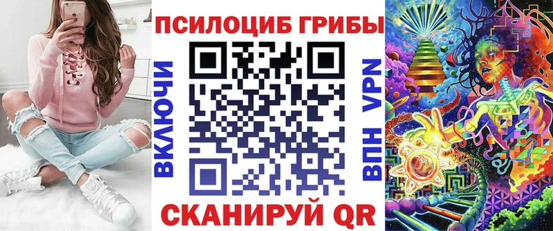 сколько стоит  Заозёрск  Псилоцибиновые грибы Cubensis 
